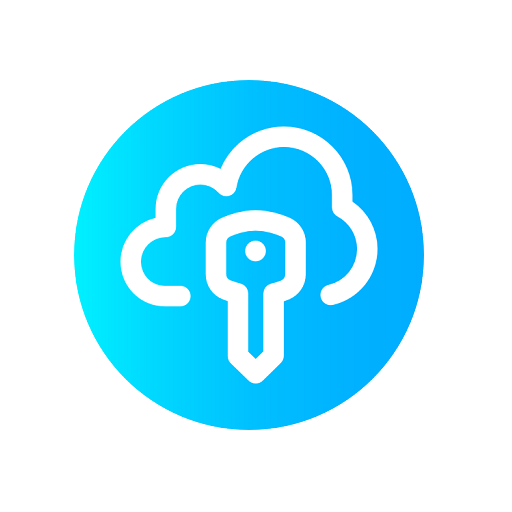 Single Sign On (SSO)